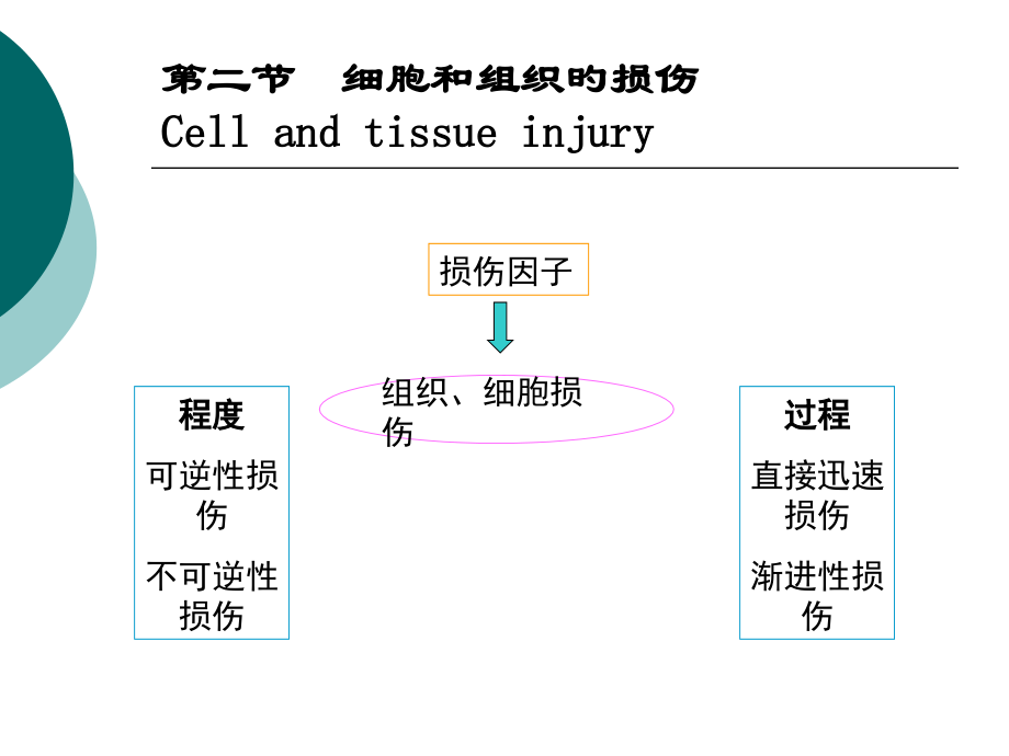 可逆性损伤主题.ppt_第2页