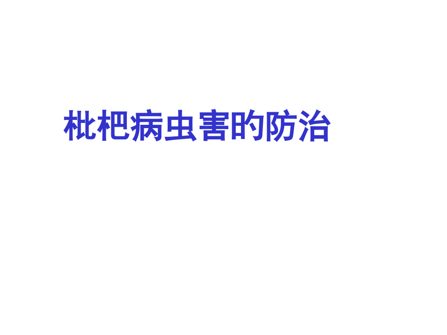 枇杷病虫害的防治.pptx_第1页