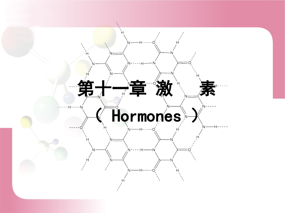 激素专业知识讲座.pptx_第1页