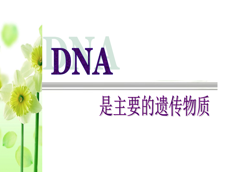 使用DNA是主要的遗传物质.pptx_第1页