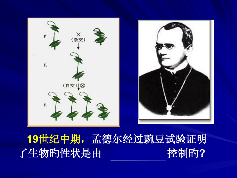 使用DNA是主要的遗传物质.pptx_第2页