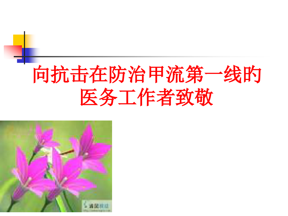 向抗击在防治甲流第一线的医务工作者致敬.pptx_第1页
