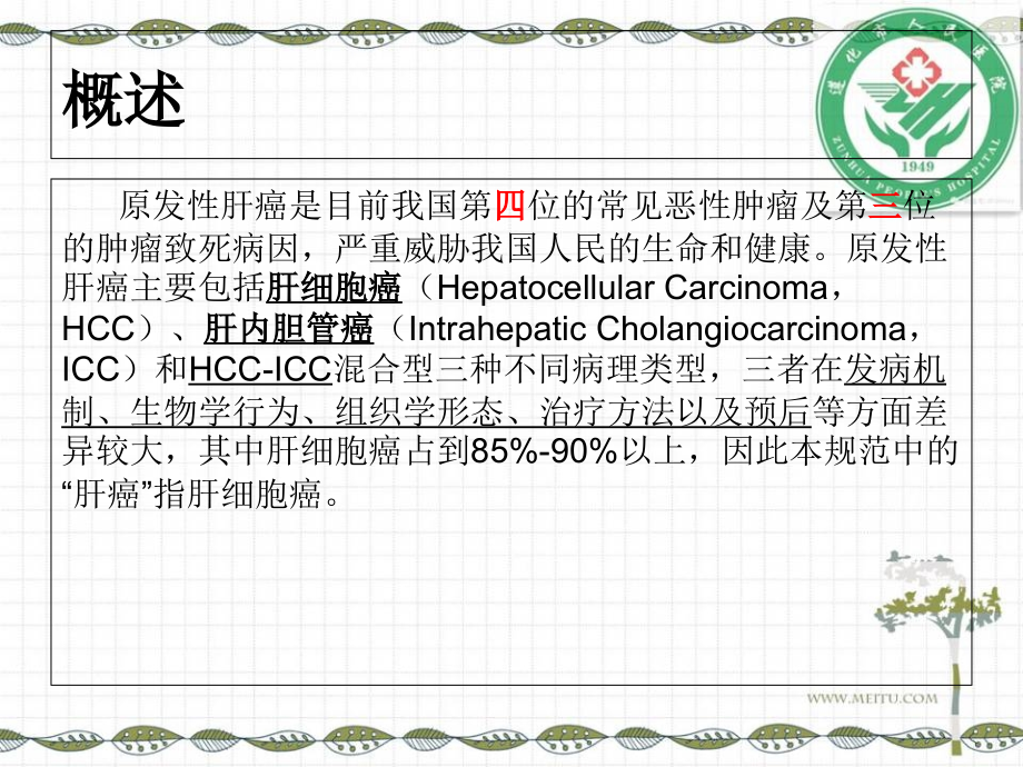 医学原发性肝癌诊疗指导建议解读课件.ppt_第2页