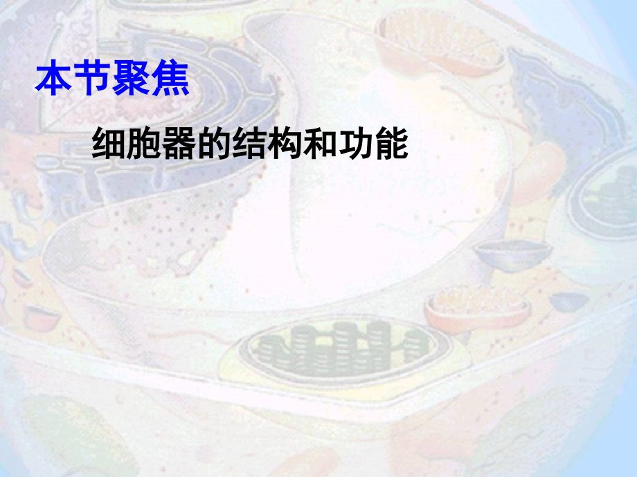 《细胞器──系统内的分工合作》.ppt_第2页