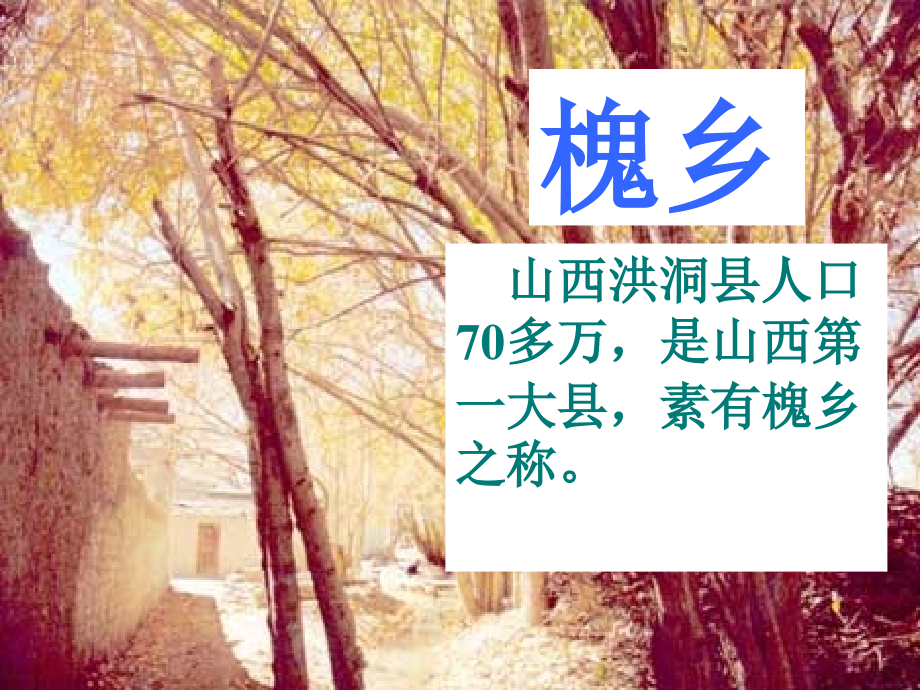 槐乡的孩子自备.ppt_第2页