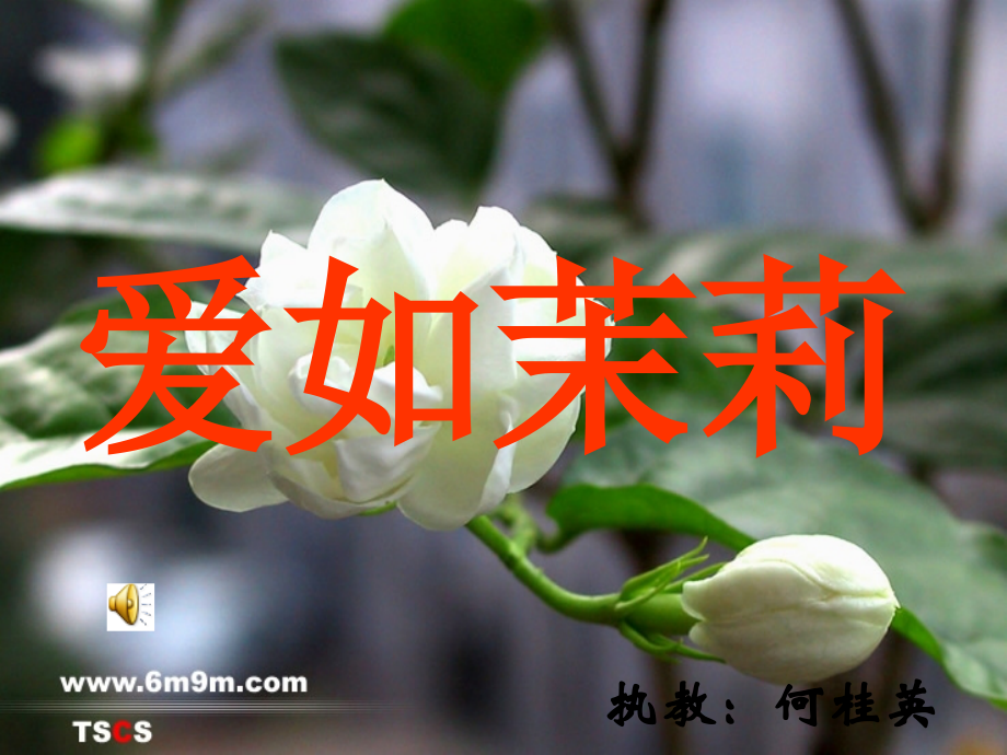 公开课《爱如茉莉》PPT课件.ppt_第1页