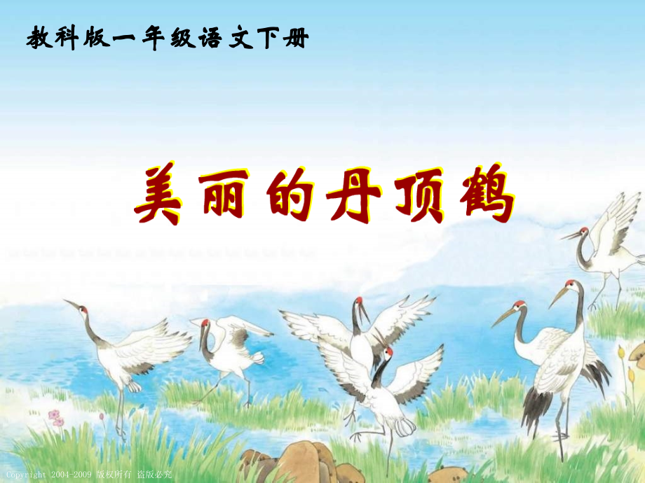 《美丽的丹顶鹤》第一课时.ppt_第1页
