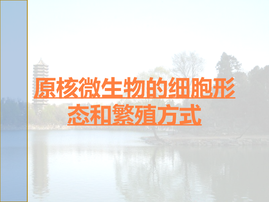 原核微生物的细胞形态和繁殖方式.ppt_第1页
