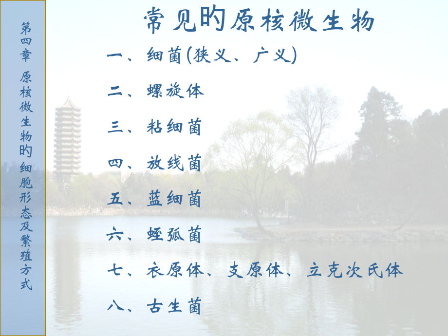 原核微生物的细胞形态和繁殖方式.ppt_第2页