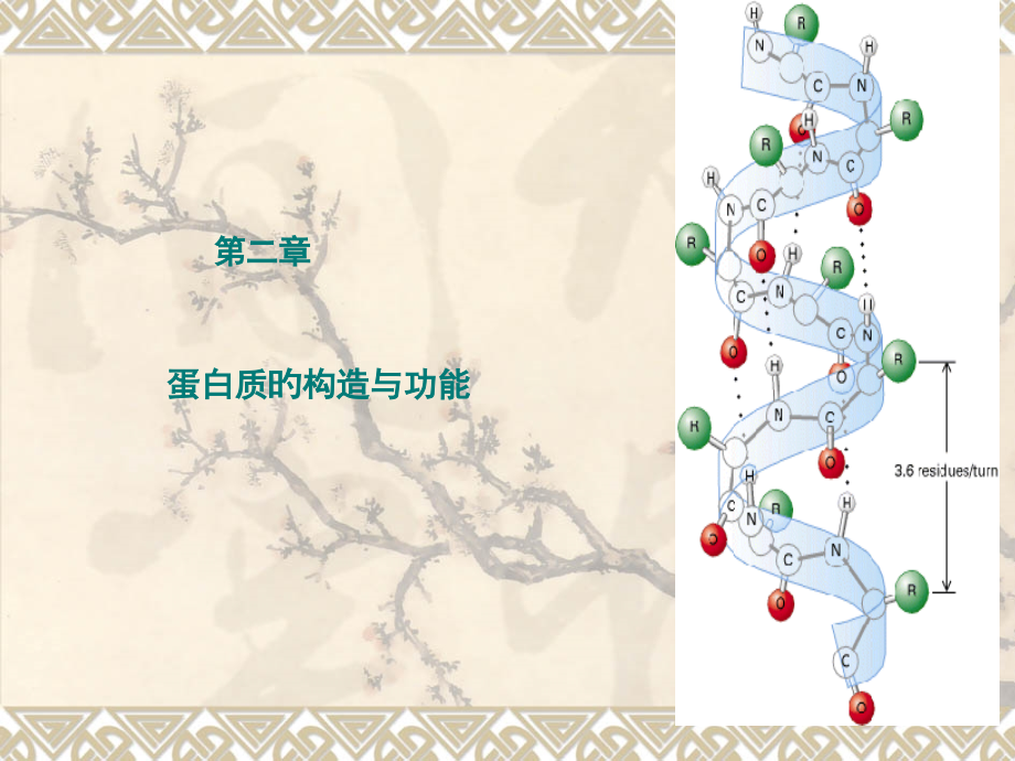 护理生物化学蛋白质的结构和功能.pptx_第1页