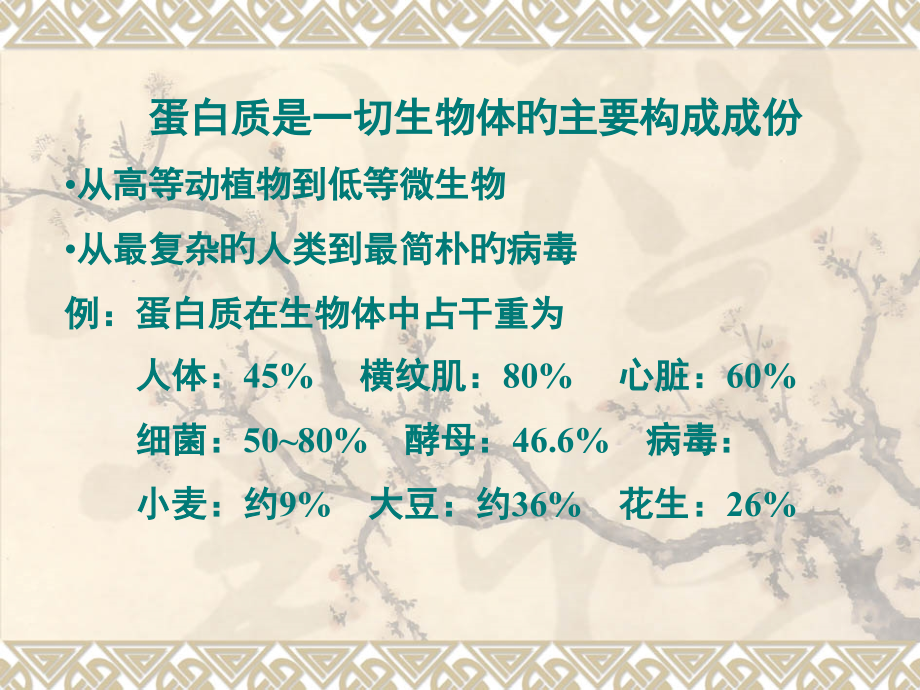 护理生物化学蛋白质的结构和功能.pptx_第2页