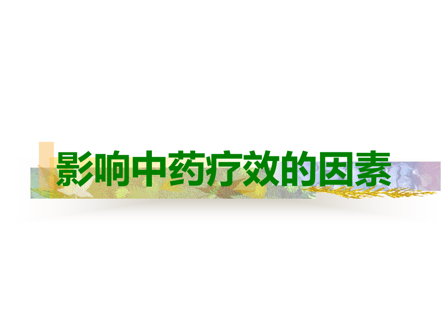 影响中药疗效的因素.ppt_第1页