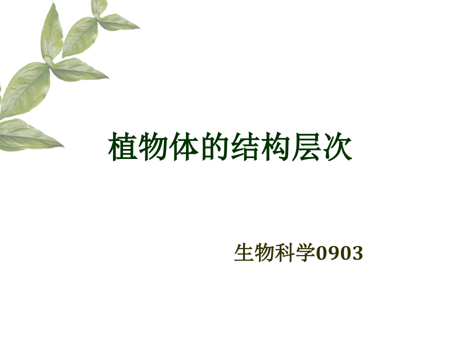 植物体的结构层次说课ppt.ppt_第1页