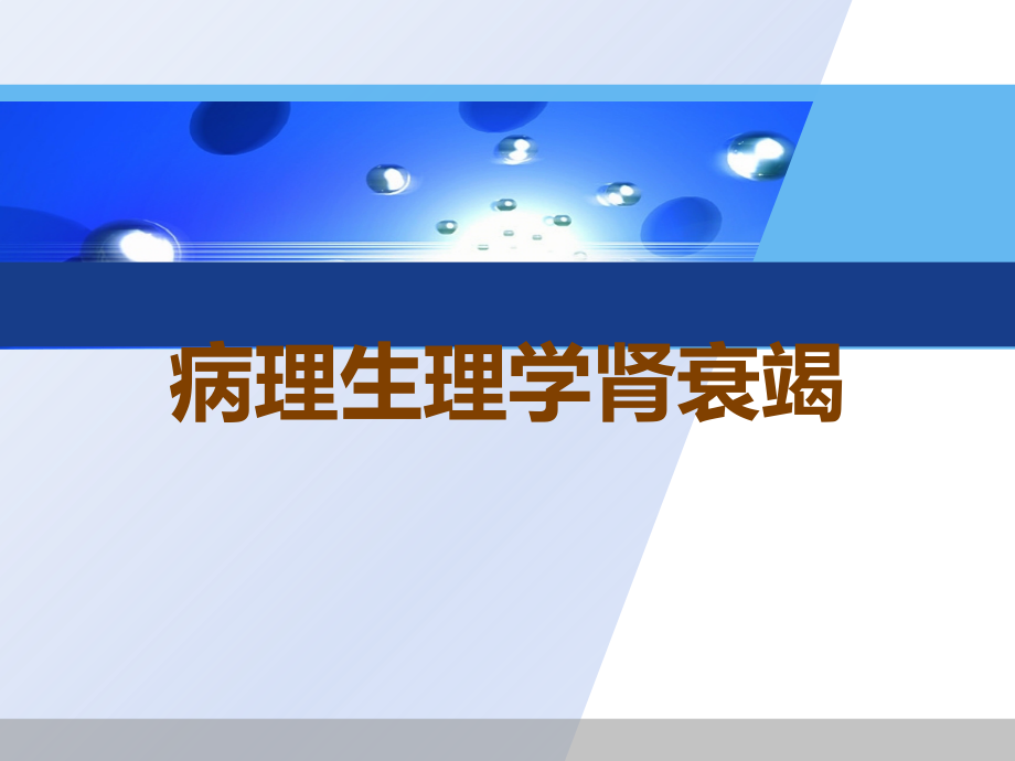 病理生理学肾衰竭.ppt_第1页