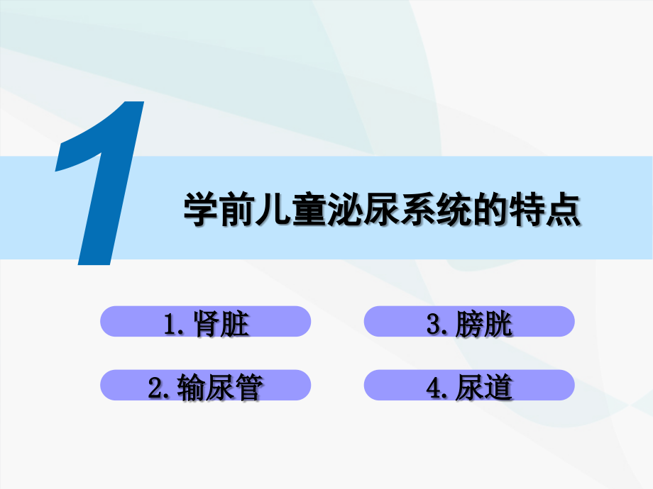 医学学前儿童的泌尿系统的特点和保育.ppt_第2页
