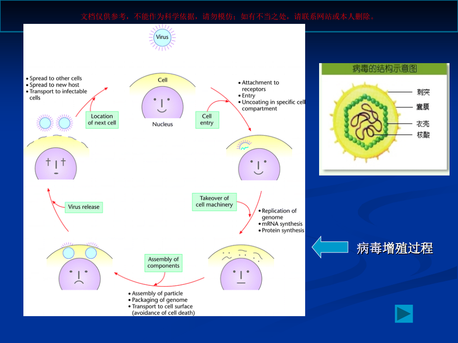 抗病毒和抗寄生虫药.ppt_第2页