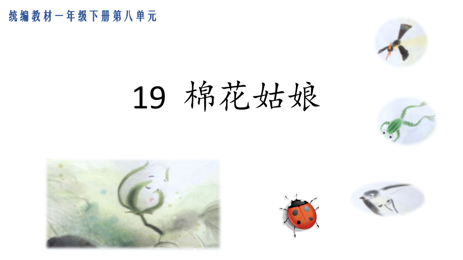 棉花姑娘配套教案.pptx_第1页