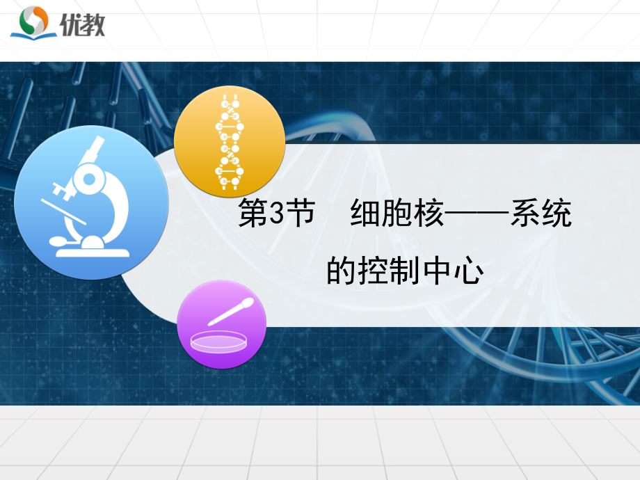 《细胞核——系统的控制中心》课件.ppt_第1页