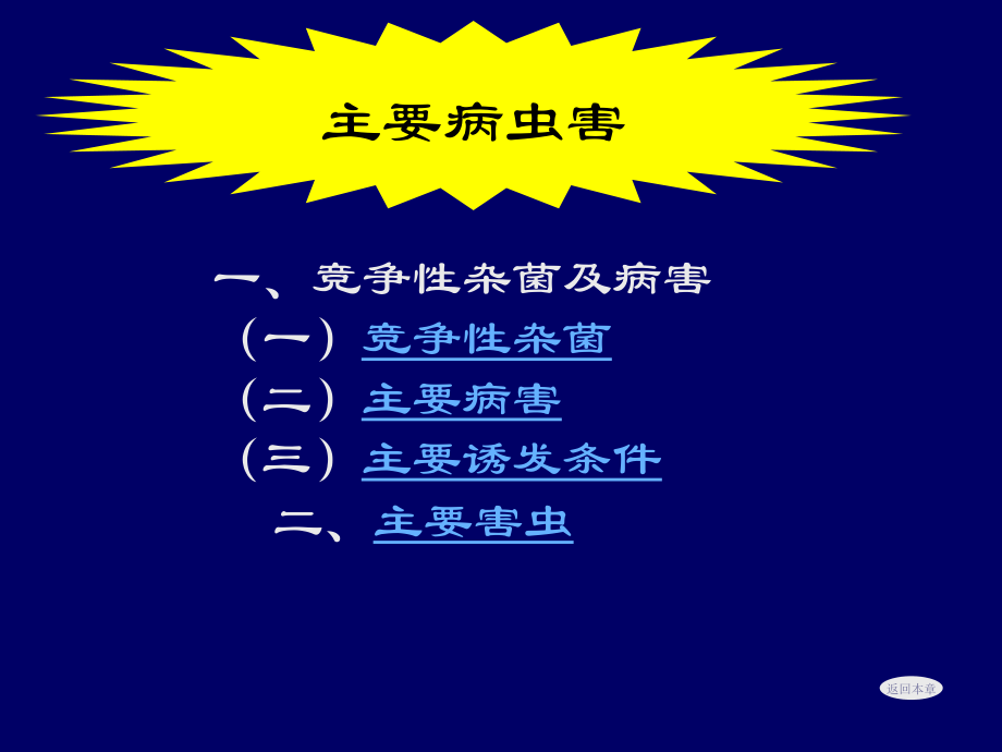蔬菜病虫害防治.pptx_第2页