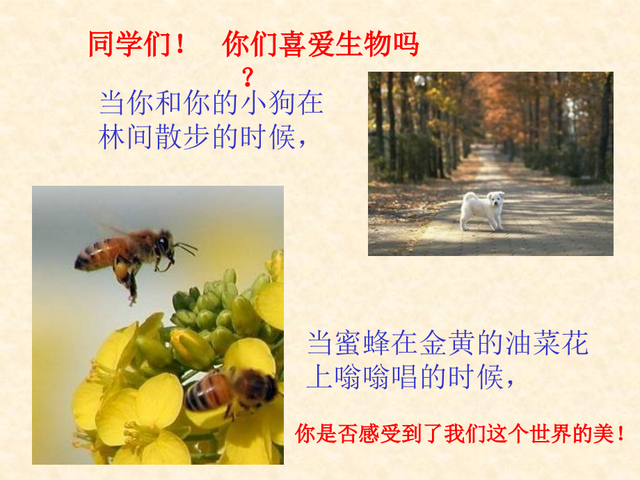 七年级上册生物_新教材_第一课生物与生物学.ppt_第2页