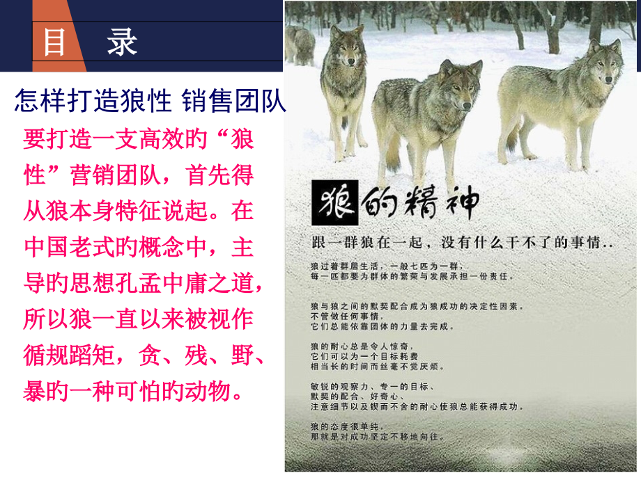 如何打造狼性销售团队.pptx_第2页