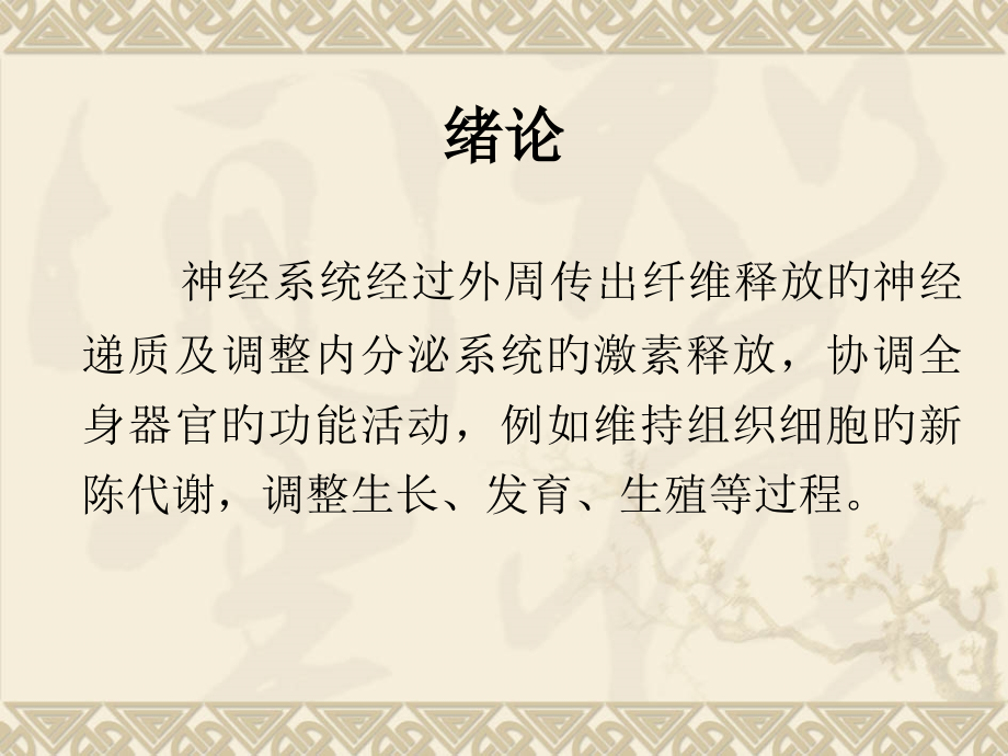 生理神经内分泌调节.pptx_第1页