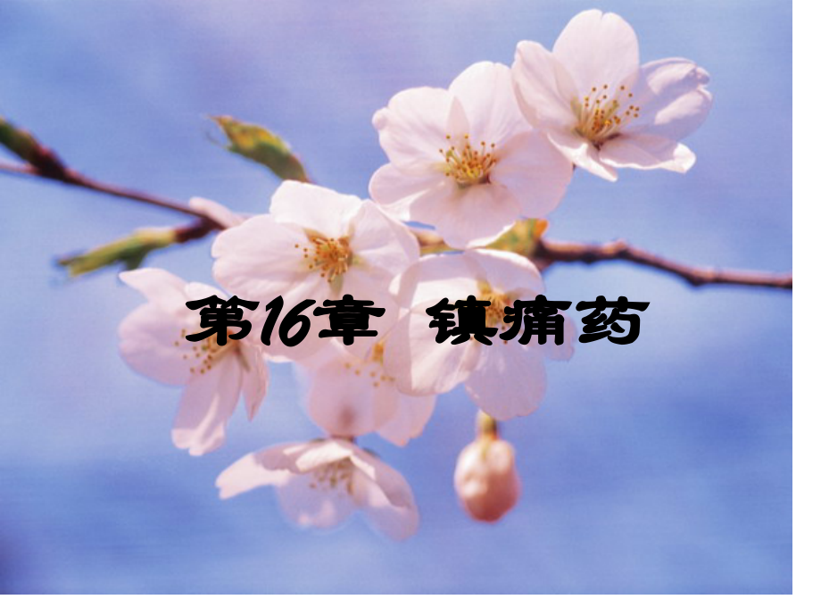 新版镇痛药专业知识讲座.pptx_第1页