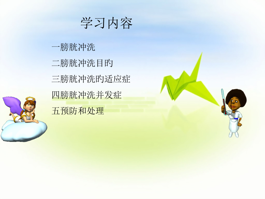 膀胱冲洗并发症预防和处置.pptx_第2页