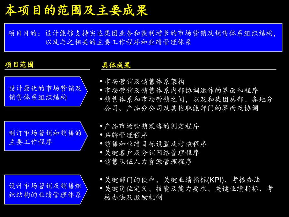 实达集团-麦肯锡-市场营销报告.ppt_第2页