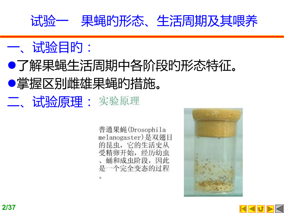 遗传学实验医学知识.ppt_第2页