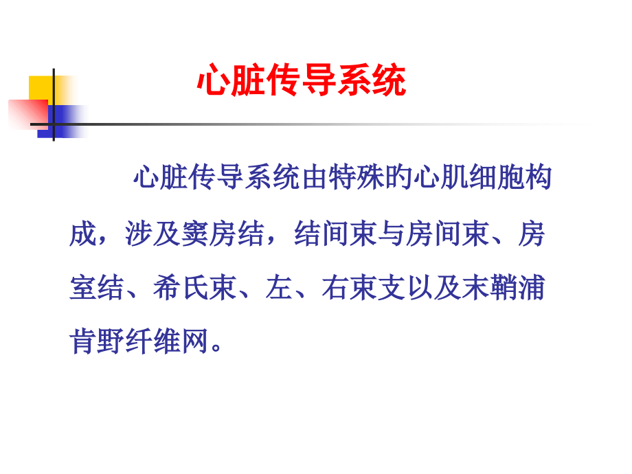 心律失常主题知识培训.ppt_第2页