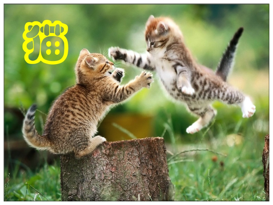 人教版四年级语文上册15猫(课件).ppt_第1页