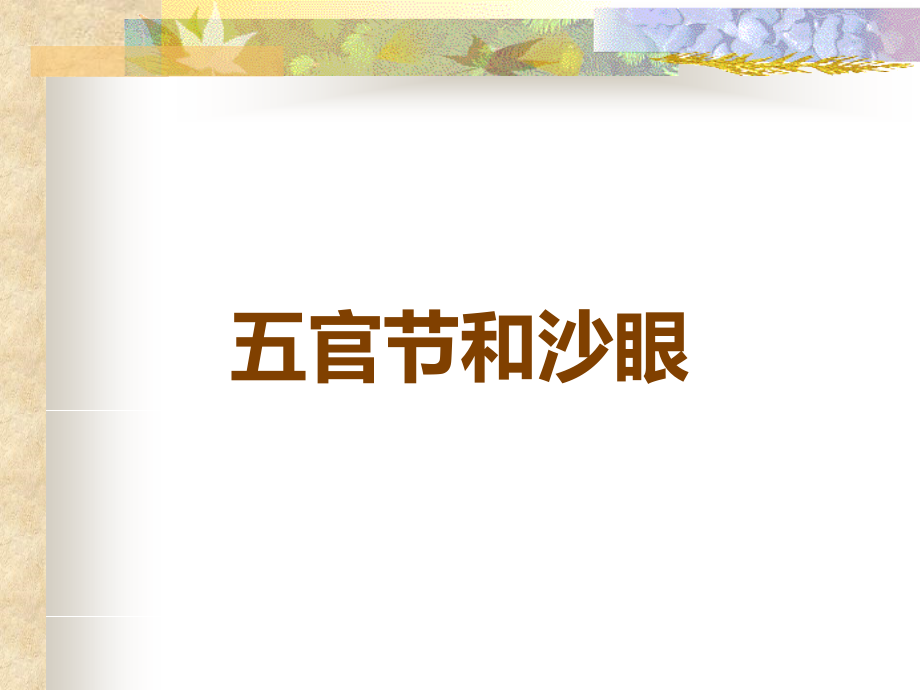五官节和沙眼.ppt_第1页