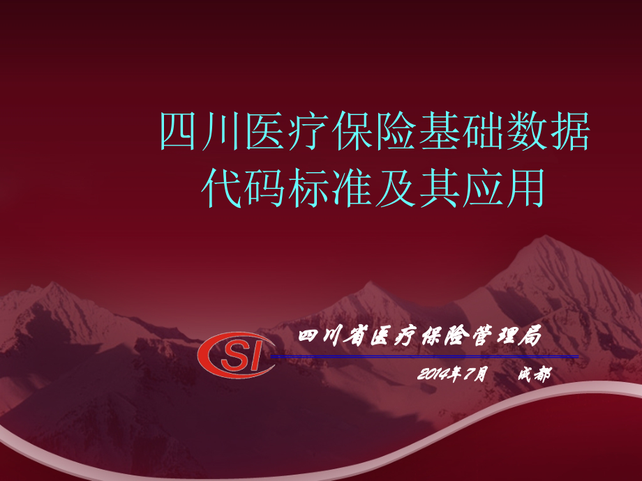 四川医疗保险基础数据代码标准及其应用.pptx_第1页