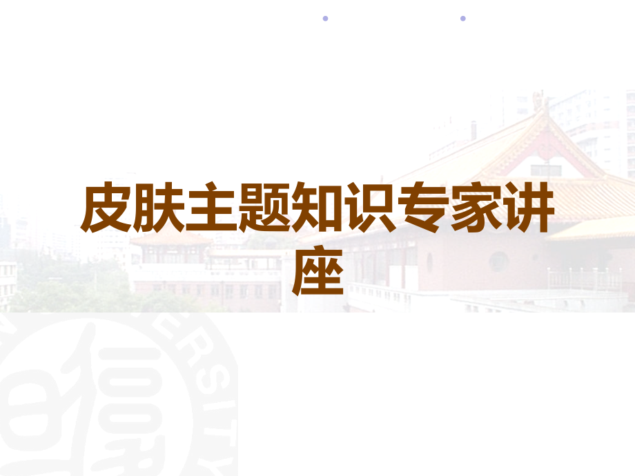 皮肤主题知识.ppt_第1页
