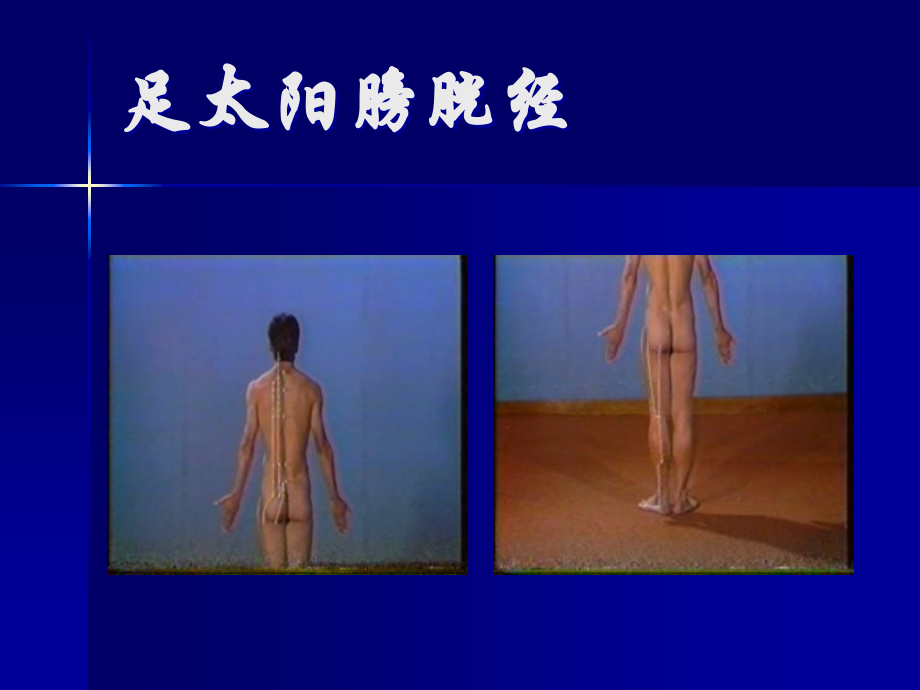 足太阳膀胱经重点.pptx_第2页