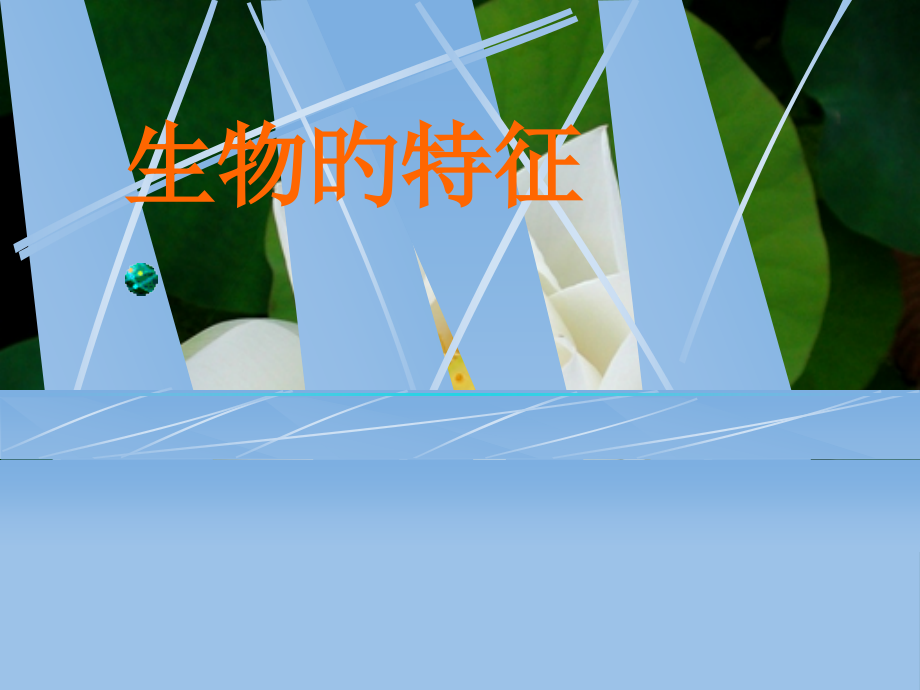 生物的特征.pptx_第1页