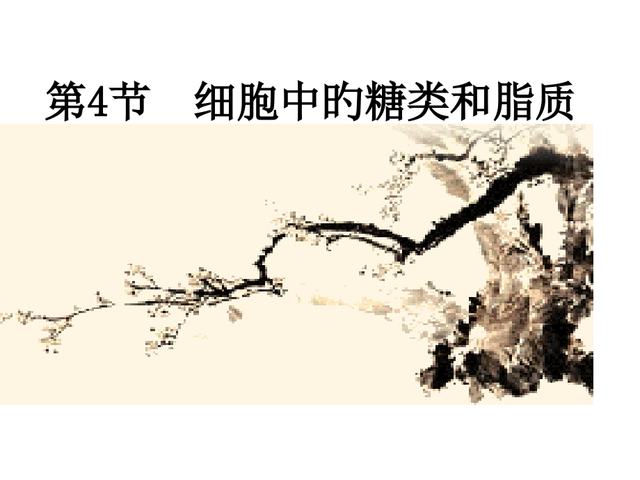高一生物细胞中的糖类和脂质新人教.pptx_第1页