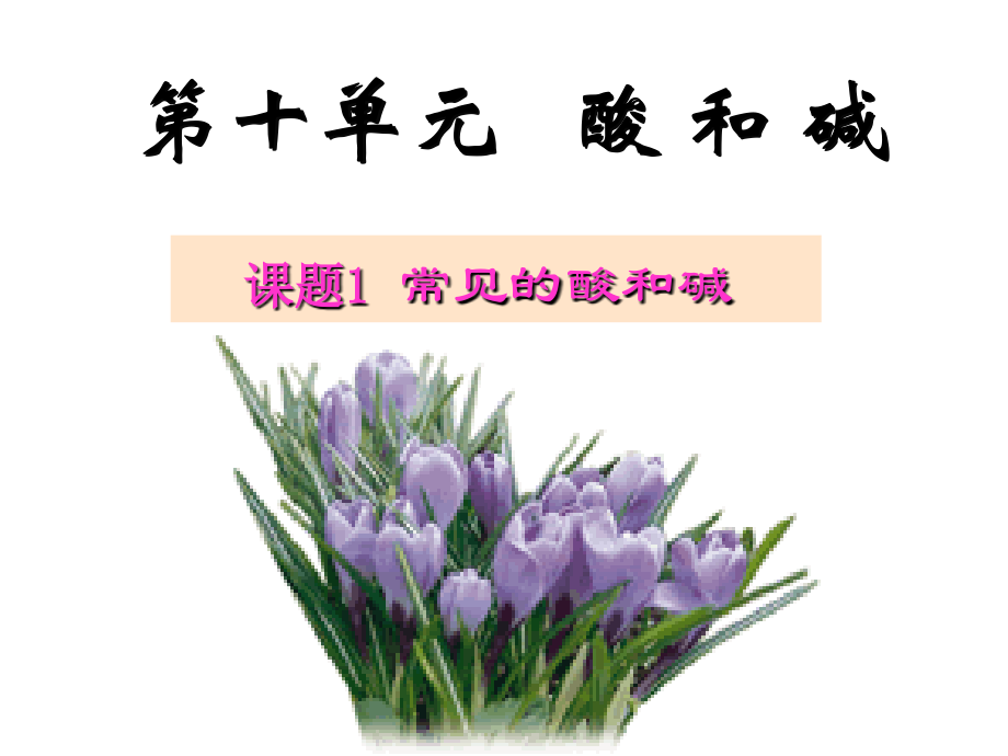 课题1_常见的酸和碱.ppt_第2页