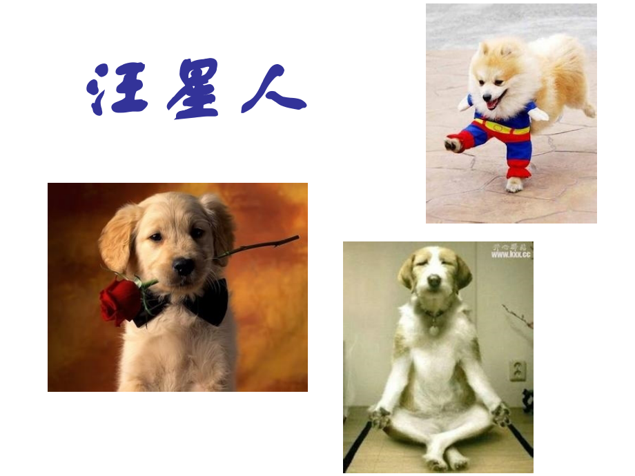 慧因国游记.慧骃国游记lv.ppt_第2页