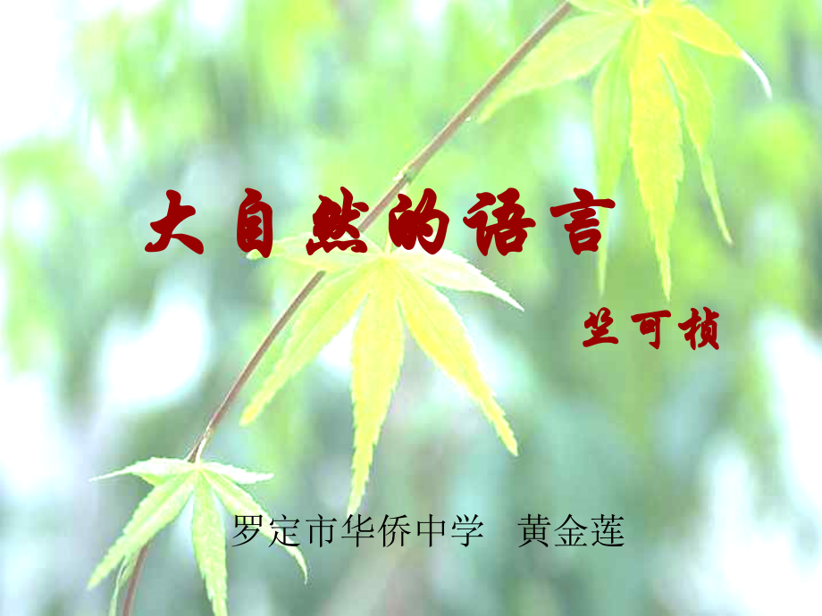 大自然的语文.ppt_第1页