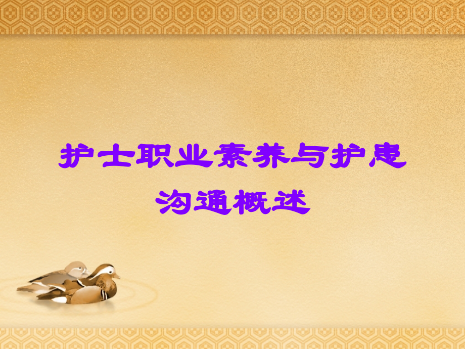 护士职业素养与护患沟通概述.ppt_第1页