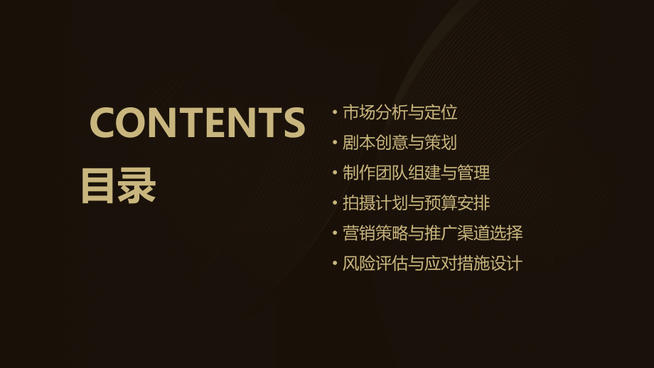 拍摄网剧的可行性方案.pptx_第2页