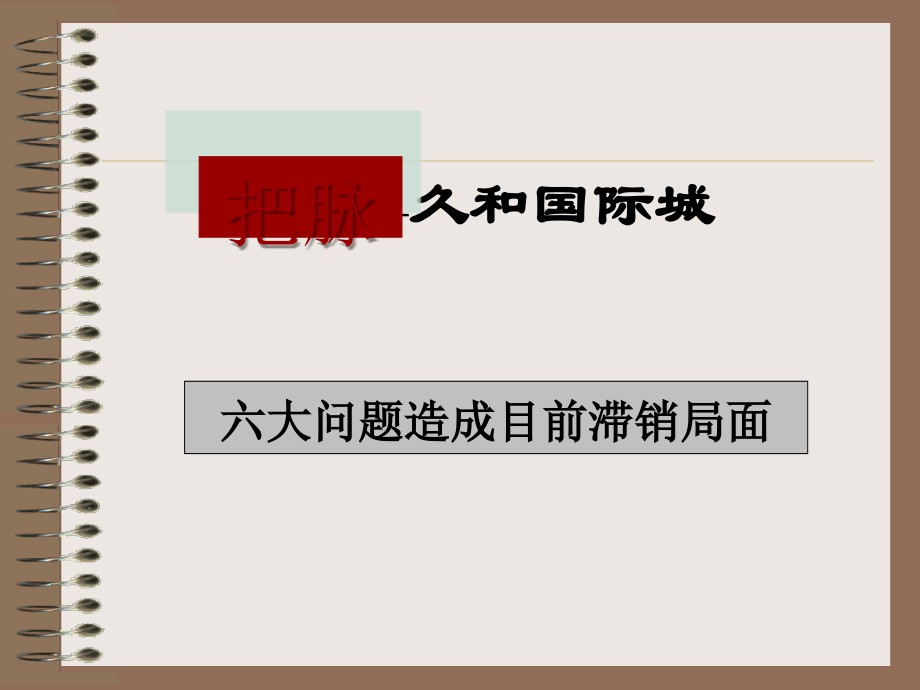 连云港久和国际城营销诊断报告.ppt_第2页