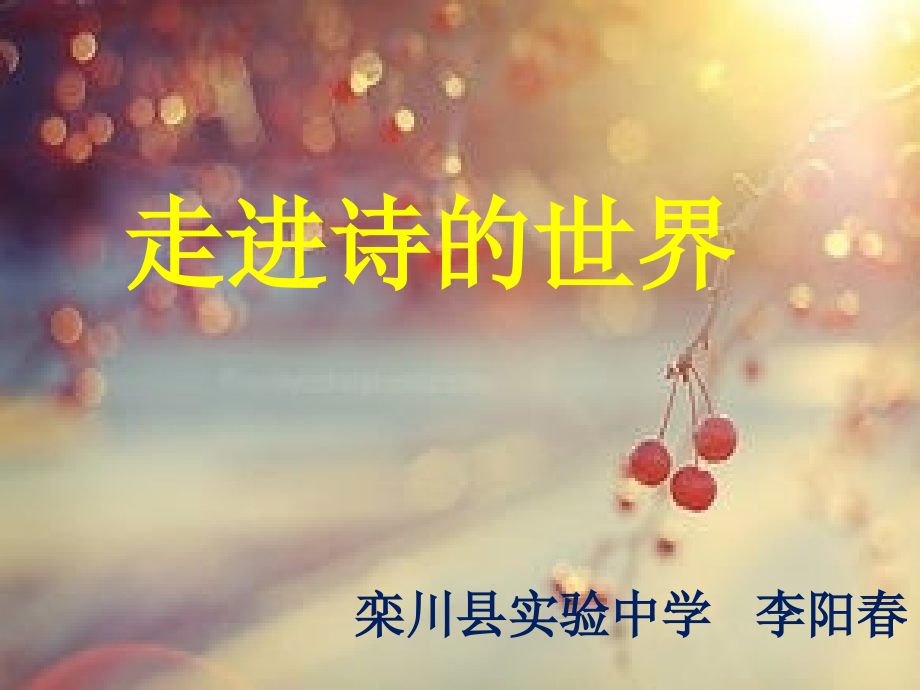 古诗词鉴赏专题复习-——走进诗的世界.ppt_第1页