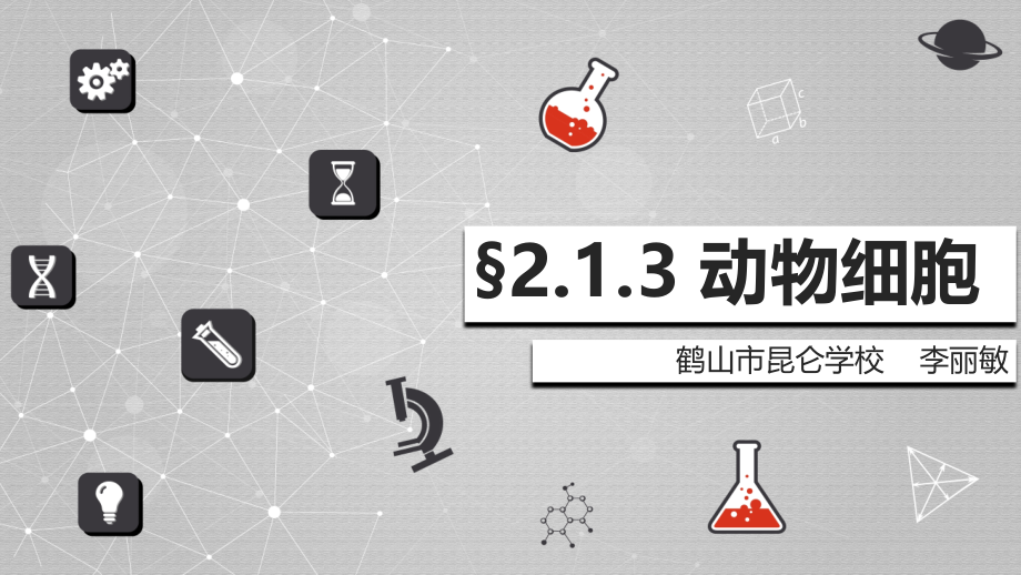 第三节-观察动物细胞.pptx_第2页