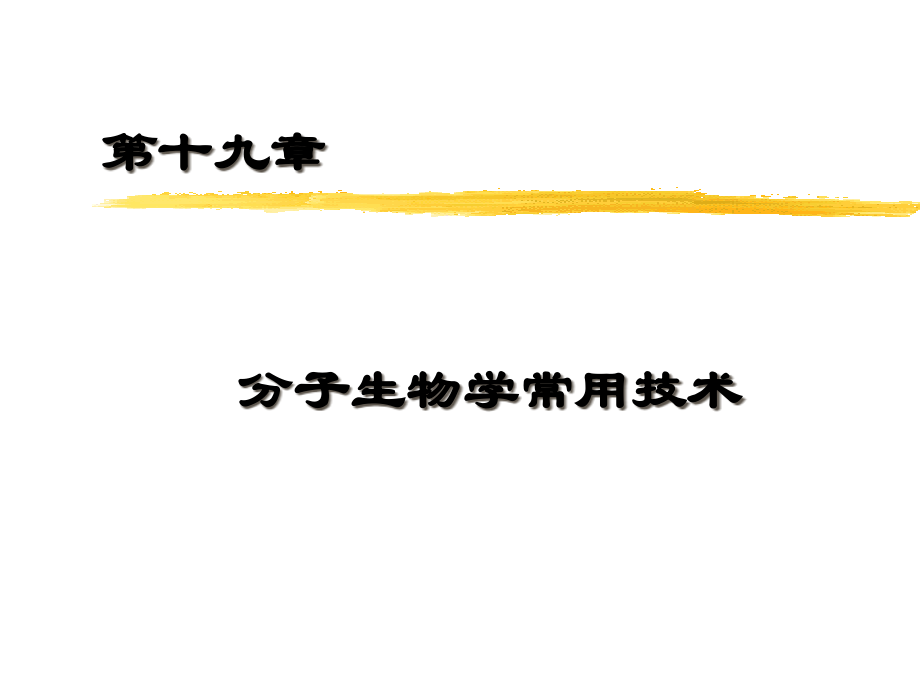 分子生物学常用技术简化版.pptx_第2页