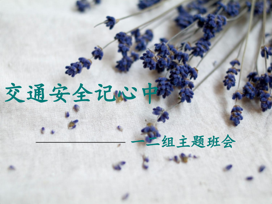 交通安全记心中PPT.ppt_第1页