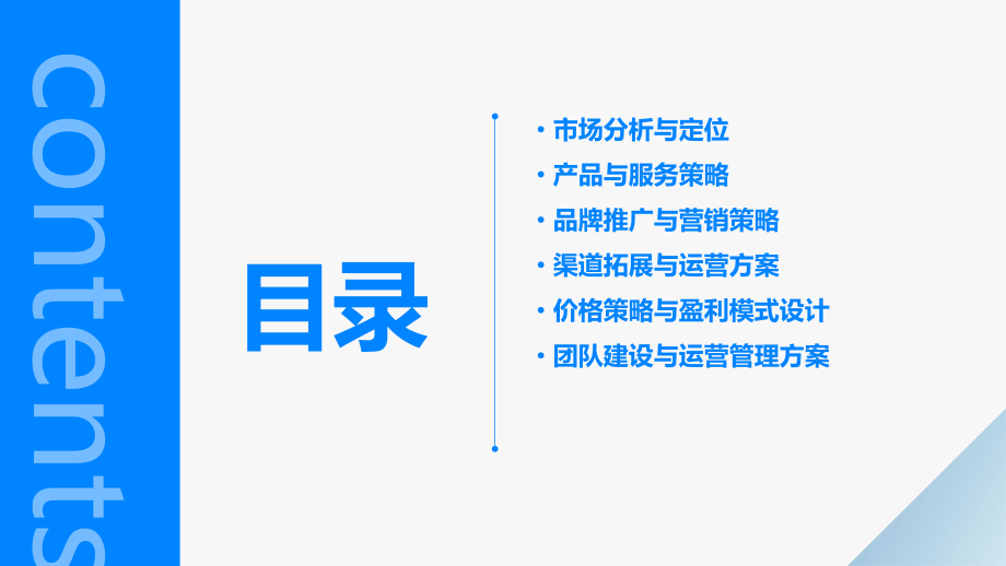 共享充电宝营销计划书模板.pptx_第2页