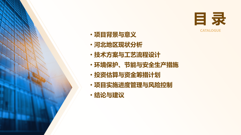 河北可行性研究报告.pptx_第2页